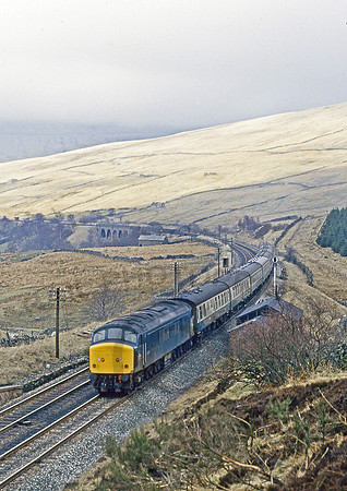45125-DentHead-240382-JC663
