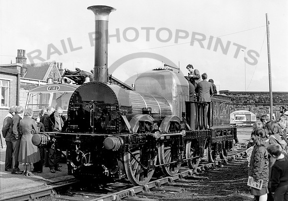 Lion-Burscough-240380-HB896