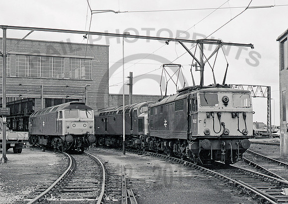 76021 Reddish 080681 JC560