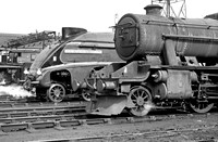 4498-48454-Crewe-South-0467_GE454