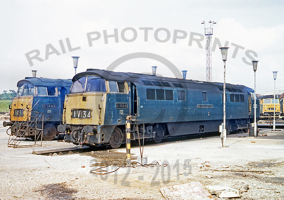 1028-Y-OldOak-0673-RPC138