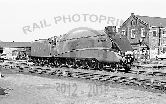 Mallard Doncaster 170678 RP