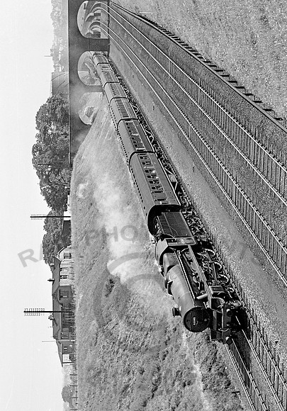 45561-Y-Chester-1949-RW667