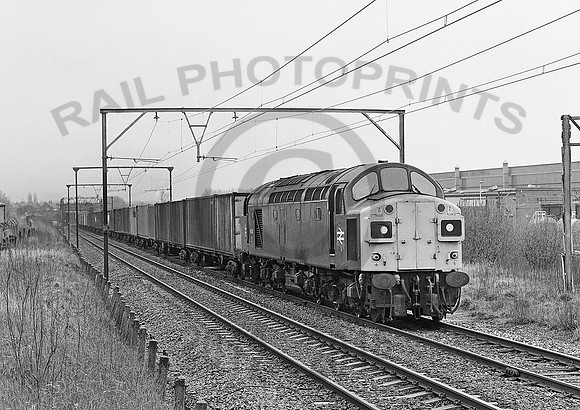 40126-Y-Reddish-290483-JC440