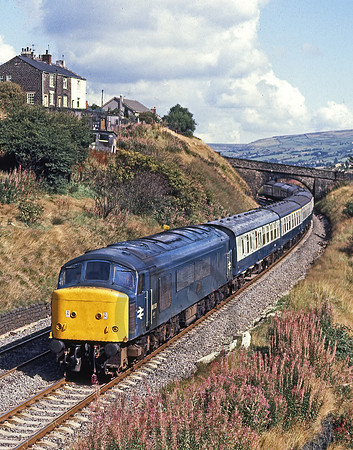46039-Y-Greenfield-120981-JC168