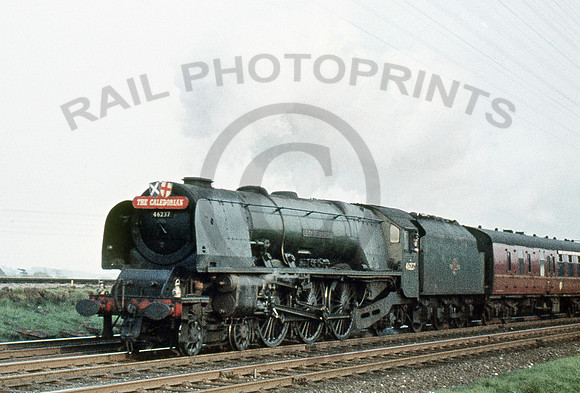 46237-Y-Weaver-1960-RAW264