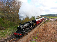 46512 Broomhill 160513 JC1411