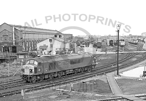 45127-Derby-040880-JC173