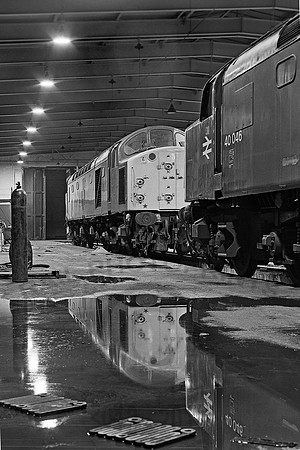 40046-40099-Reddish-250281-JC391