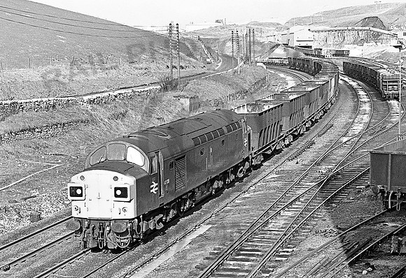 40128-PeakForest-020380-JC671