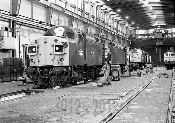 40135-Reddish-191178-JC456