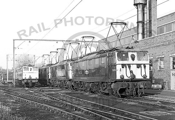 76030-Y-Reddish-280180-JC653