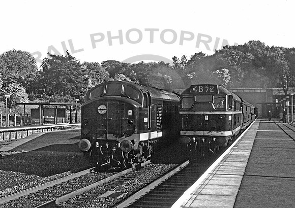D5901-Y-HadleyWood-0661-RPC594