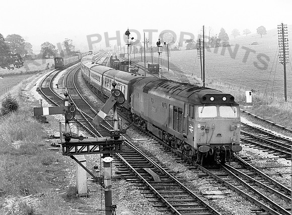 50026-CastleCary-150778-JC