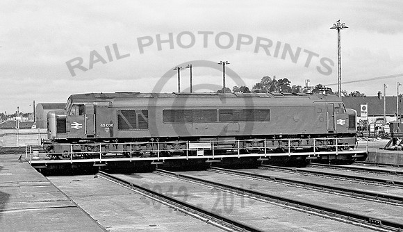 45036-NewtonAbbot-100678-JC