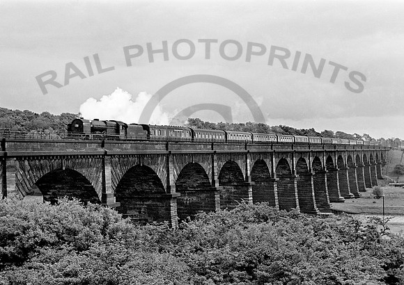 46141-Y-Dutton-1949-RW656