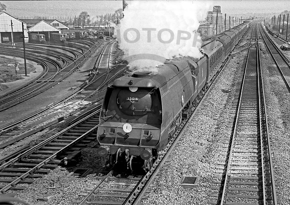 35016 Wimbledon 1954 JDC205R