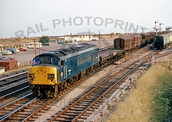 45002-Y-DawlishWarren-240675-DCC134