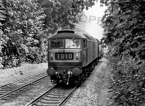 D1594-Twerton-090965-RP1