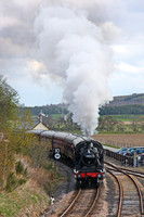 46512 Broomhill 160513 JC1399