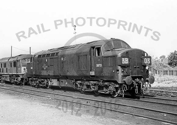 D6731-Y-NevillehIll-280763-RPC237