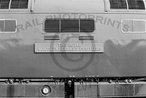 55011-Y-Nameplate-020678-JC21