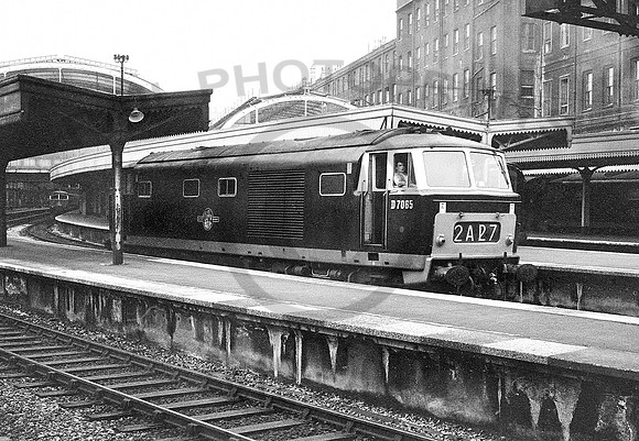 D7065-Y-Paddington-190763-RPC282