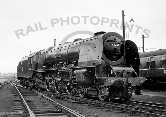 46251-Y-Derby-300863-RPC782
