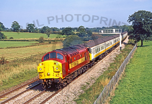 37057-Y-Acton-Turville-020904-JC198