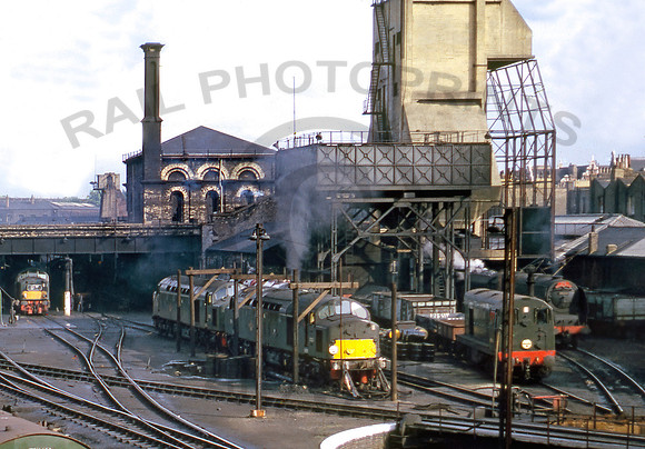 Camden Shed 100862 DC871R