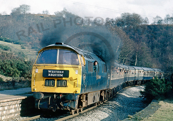 1010-Y-QuakersYard-130277-DCC661
