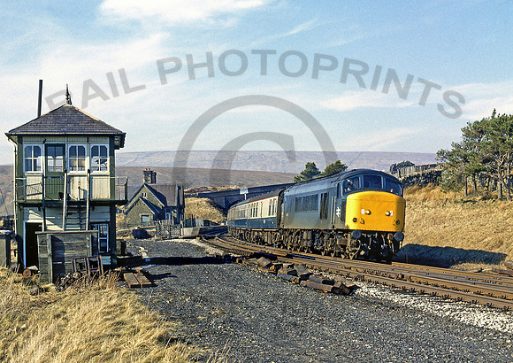 45145-Y-Dent-250382-JC726
