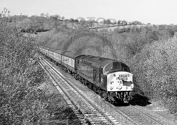 40120-Y-Disley-190481-AHB248
