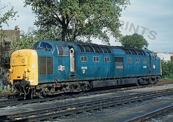 55012-Y-FinsburyPark-230979-PB818