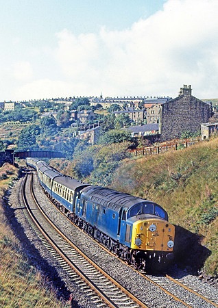 40046-Greenfield-120981-JC165