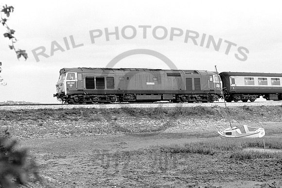 50037-Cockwood-100678-JC