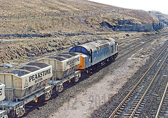 40155-PeakForest-230382-JC489