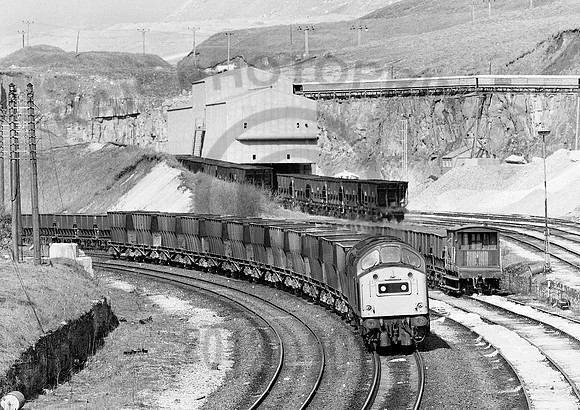 40153-Y-PeakForest-230382-031281-JC563