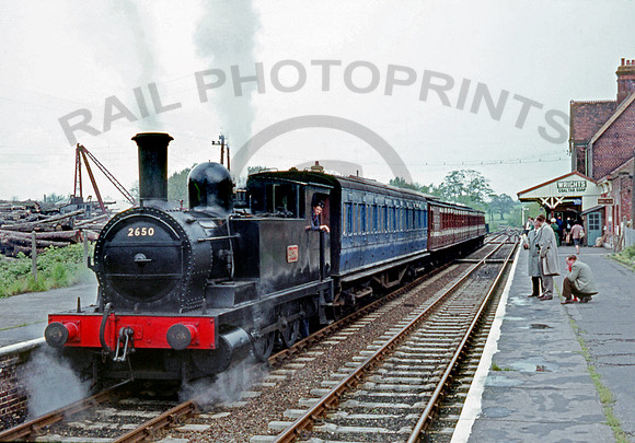 2650 Bluebell 0562 RPe357