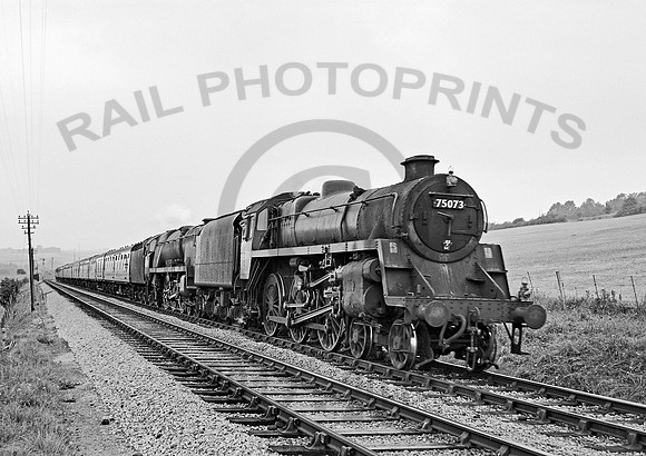 75073  Wellow 280762 HB351