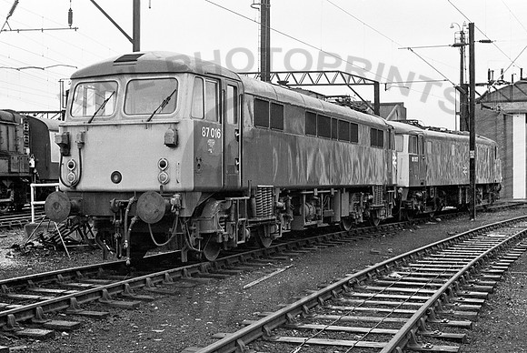 87016-81017-Y-Longsight-260378-JC