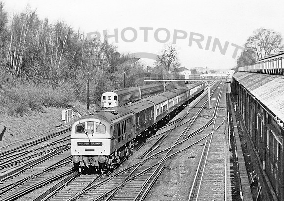 E5008 Orpington 280370 RPC179