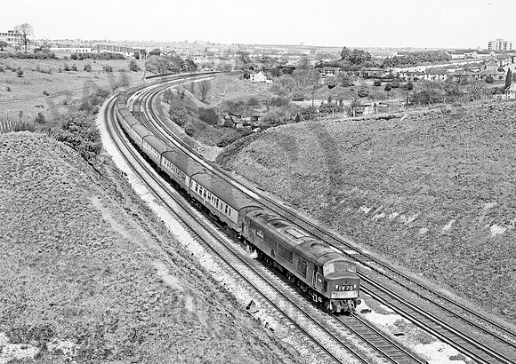 D163-Y-AshleyDown-080569-HB663