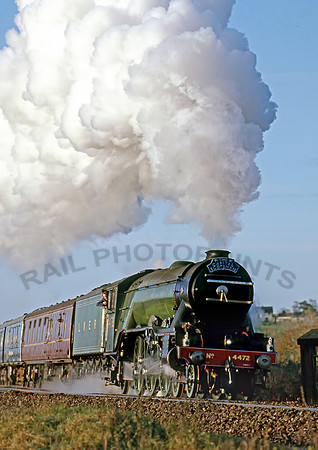 4472-Y-Oborne-271199-JC254