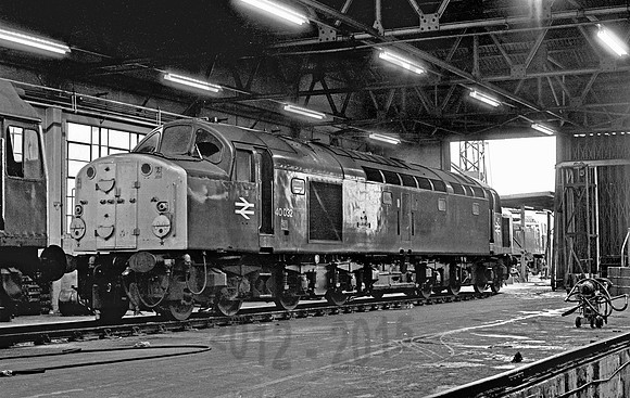 40032-Y-Longsight-260378-JC
