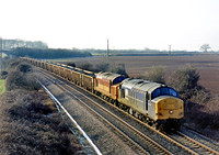 37372-37521-Y-Berkley-020102-JC814