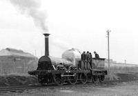 Lion-WiganPW-240380-HB978