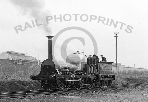 Lion-WiganPW-240380-HB978