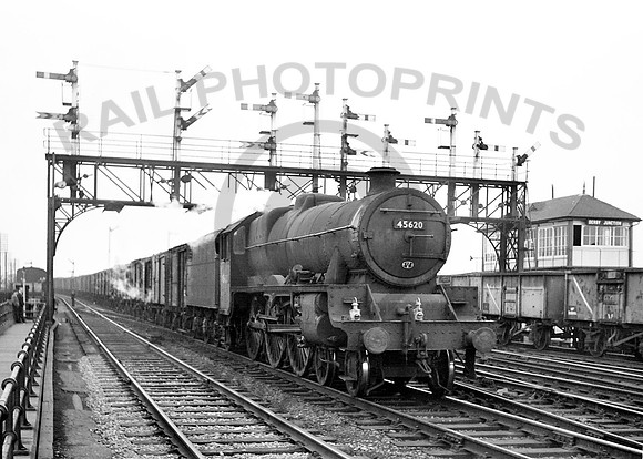 45620-Y-Derby-0662-RPC090