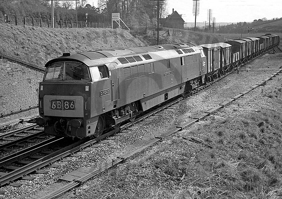 D1047-CowleyBridgeExeter-0369-RPC067